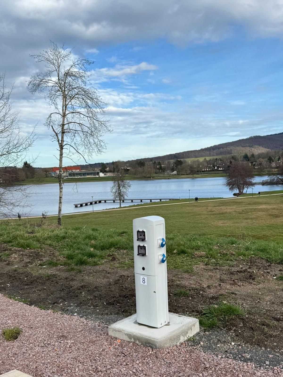 Véhicule électrique en charge à une borne sur un parking ; des feuilles vertes dansent dans l'air.