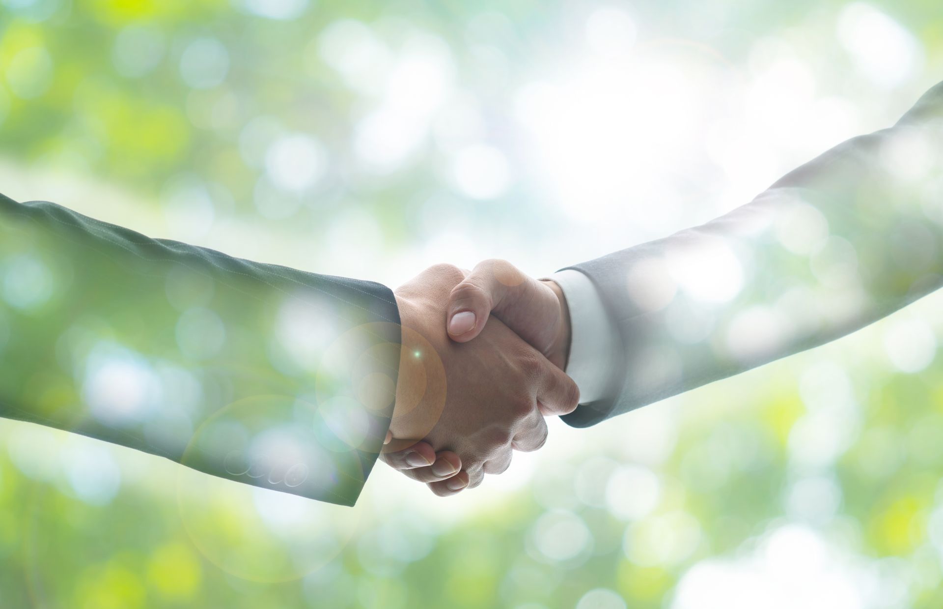 Poignée de main dans un environnement végétal