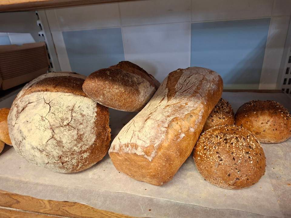 Assortimento di pane appena sfornato: una pagnotta rotonda, una pagnotta rettangolare e panini spolverati di farina.
