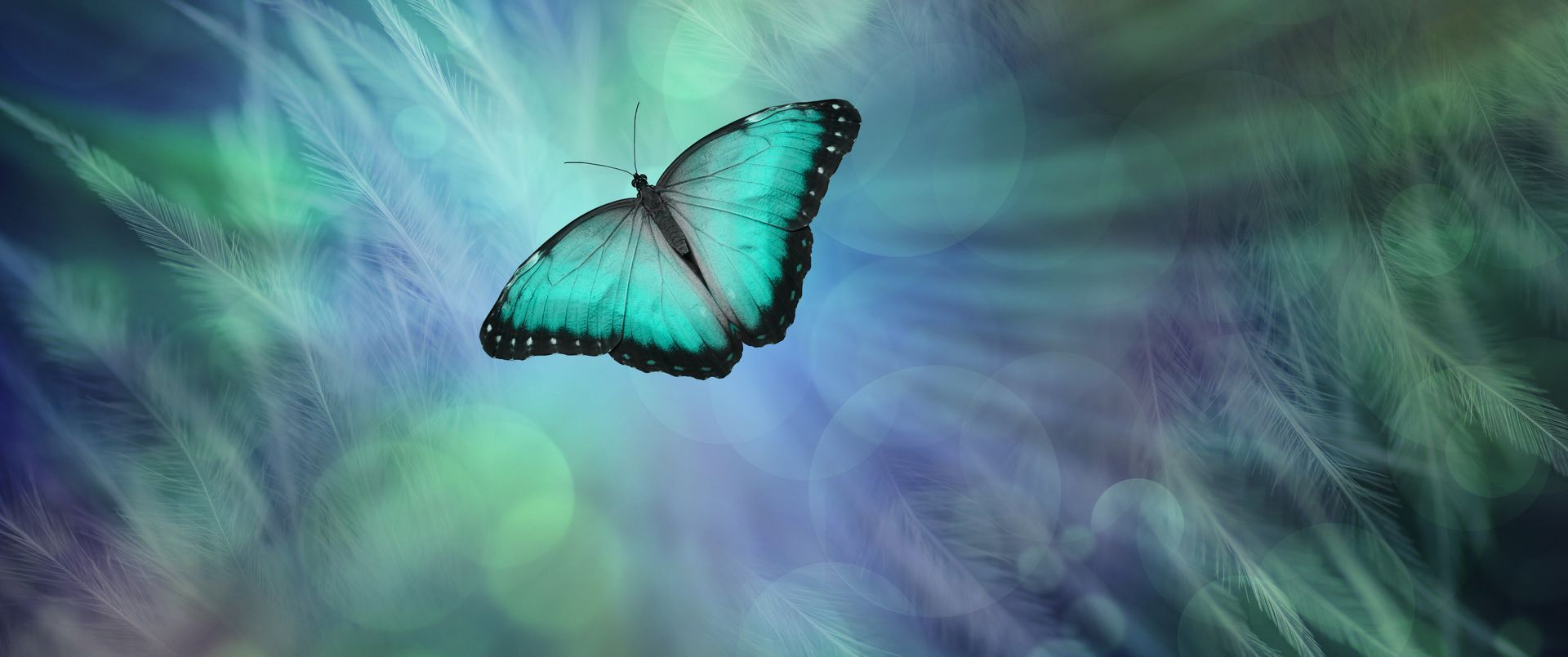 Papillon turquoise volant sur un fond abstrait bleu-vert flou