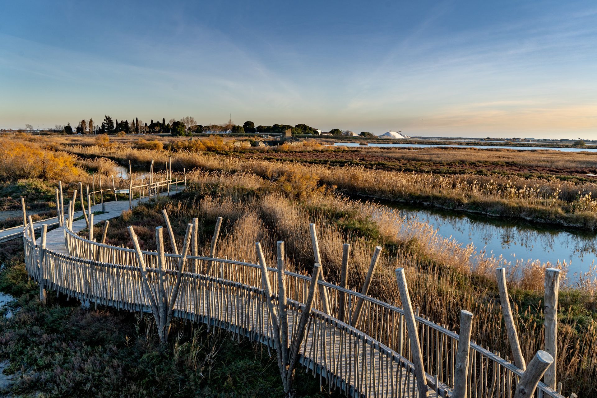 Promenade en bois à travers les herbes des marais, au loin la ville au coucher du soleil.