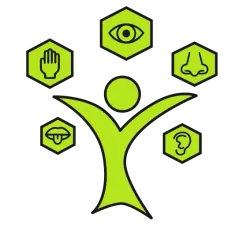 Persona con los brazos extendidos, rodeada de iconos que representan los sentidos: vista, tacto, olfato, gusto y oído. Verde y negro.