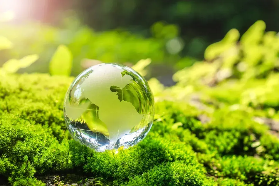 Globo de cristal apoyado sobre musgo verde, reflejando un entorno natural borroso.