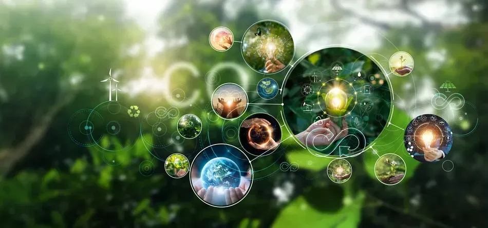 Fondo verde con orbes brillantes y la palabra 