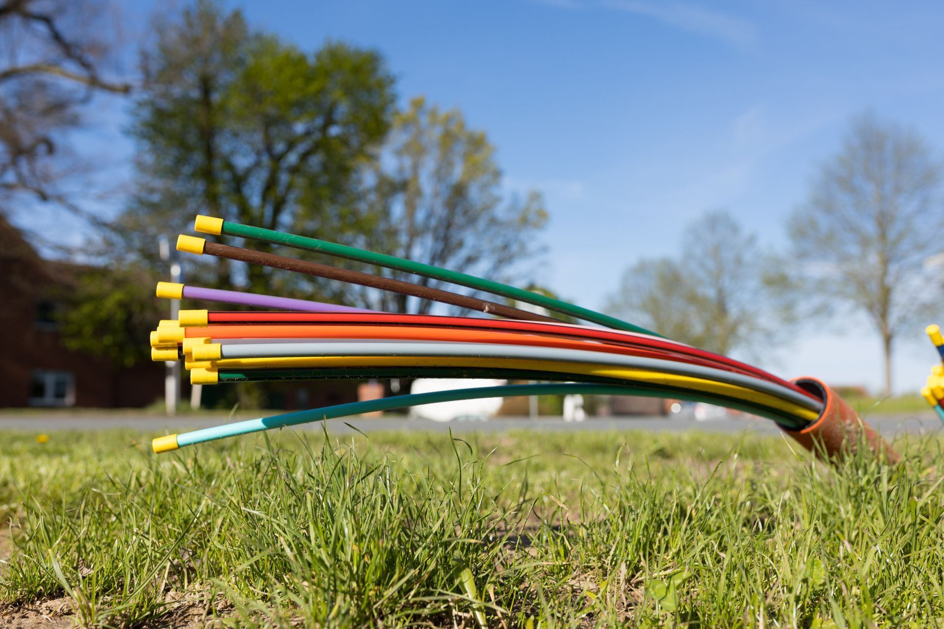 Ein Bündel bunter Kabel liegt im Gras.