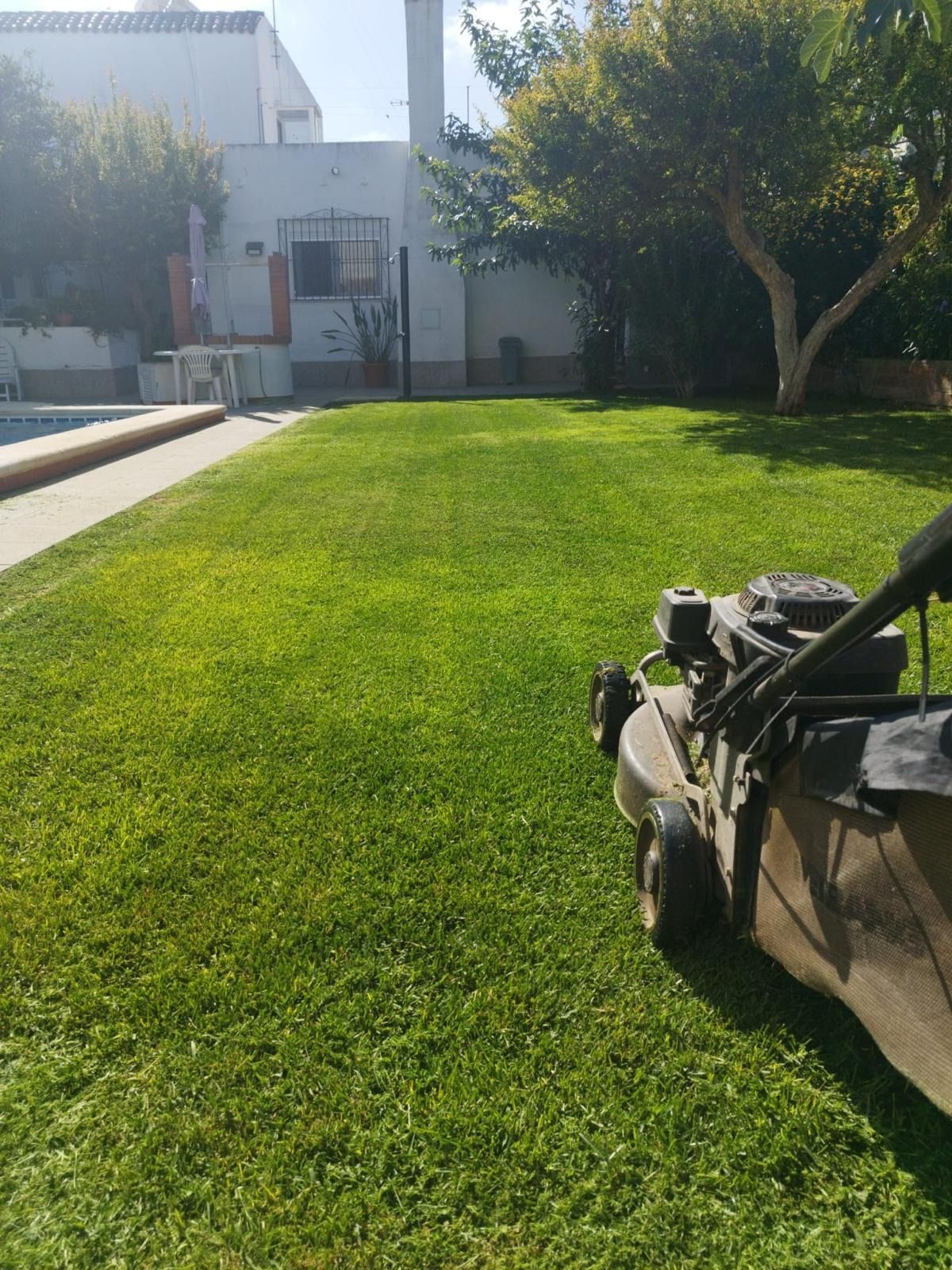 Una cortadora de césped está cortando un césped verde y exuberante frente a una casa.