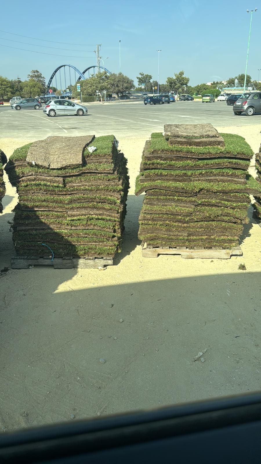 Hay dos pilas de césped sobre paletas en un estacionamiento.