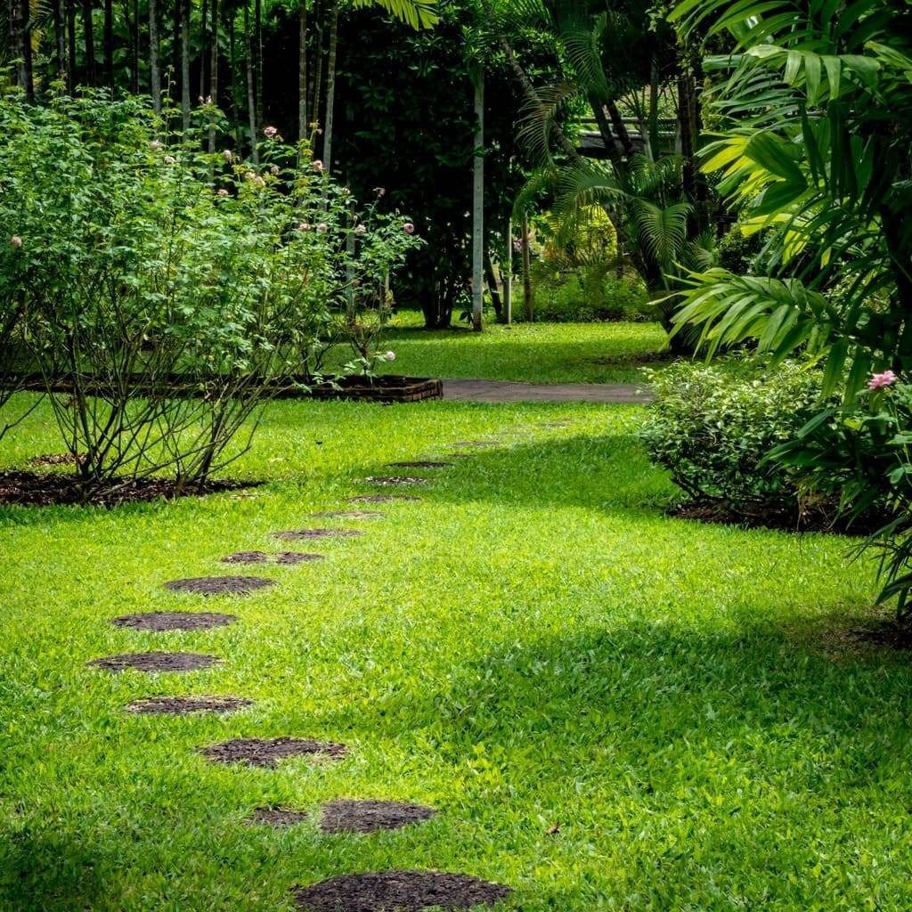 Un camino en el césped con escalones en un parque.