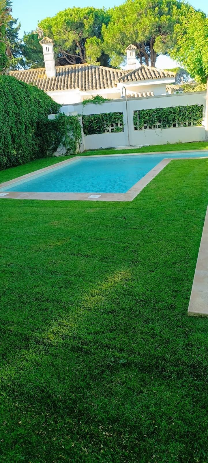 Hay una gran piscina en medio de un exuberante césped verde.