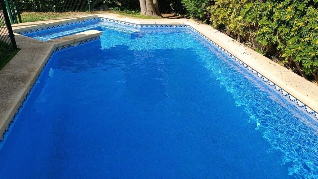 Una gran piscina azul rodeada de árboles y arbustos.