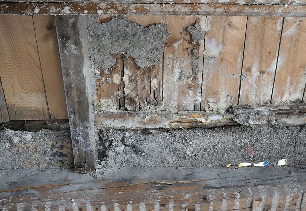 Eine Nahaufnahme einer Holzwand mit Betonfundament