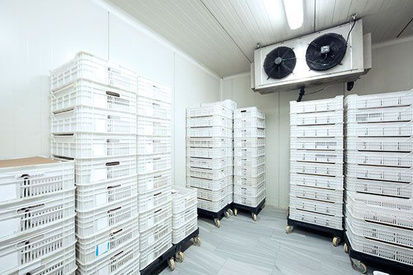 Cajas blancas apiladas en una cámara refrigerada con unidad de aire acondicionado.