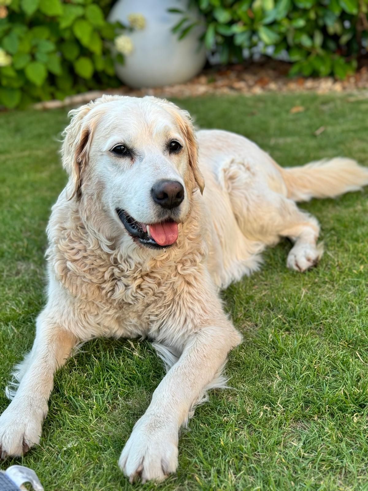 Platzhalter für Mitarbeiter