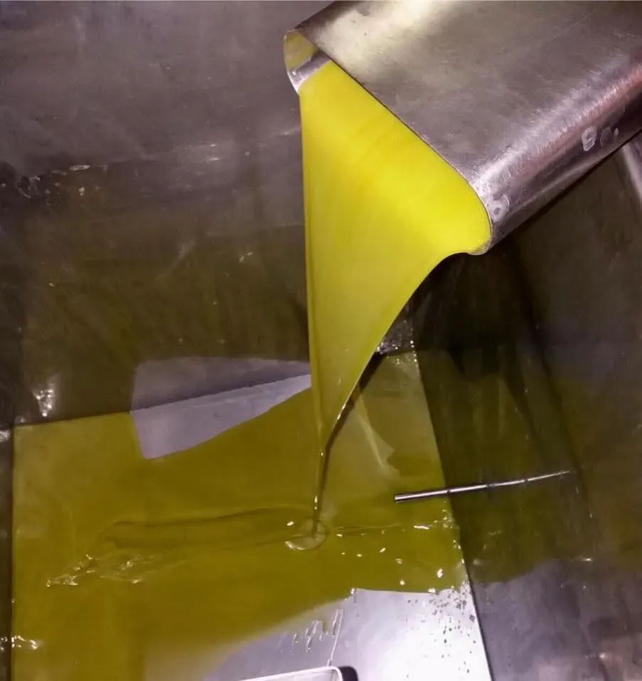 Aceite de oliva dorado vertiéndose desde una rampa metálica a un gran recipiente de acero inoxidable.