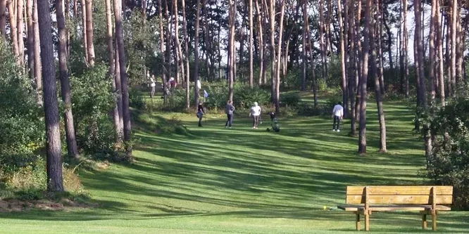 A group of people are playing golf in a forest with a bench in the foreground.