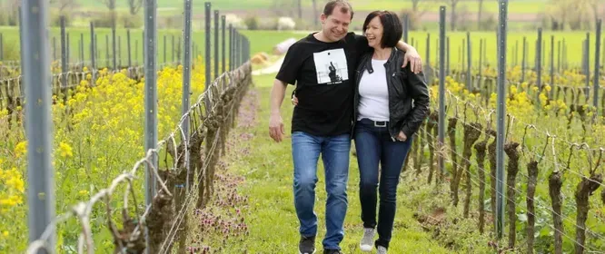 A man and a woman are walking through a vineyard.