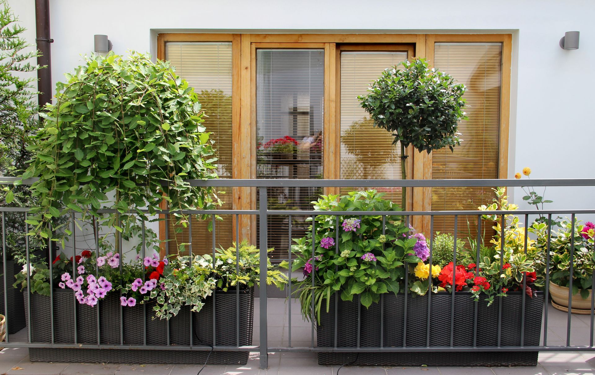 Un balcon avec des pots de fleurs