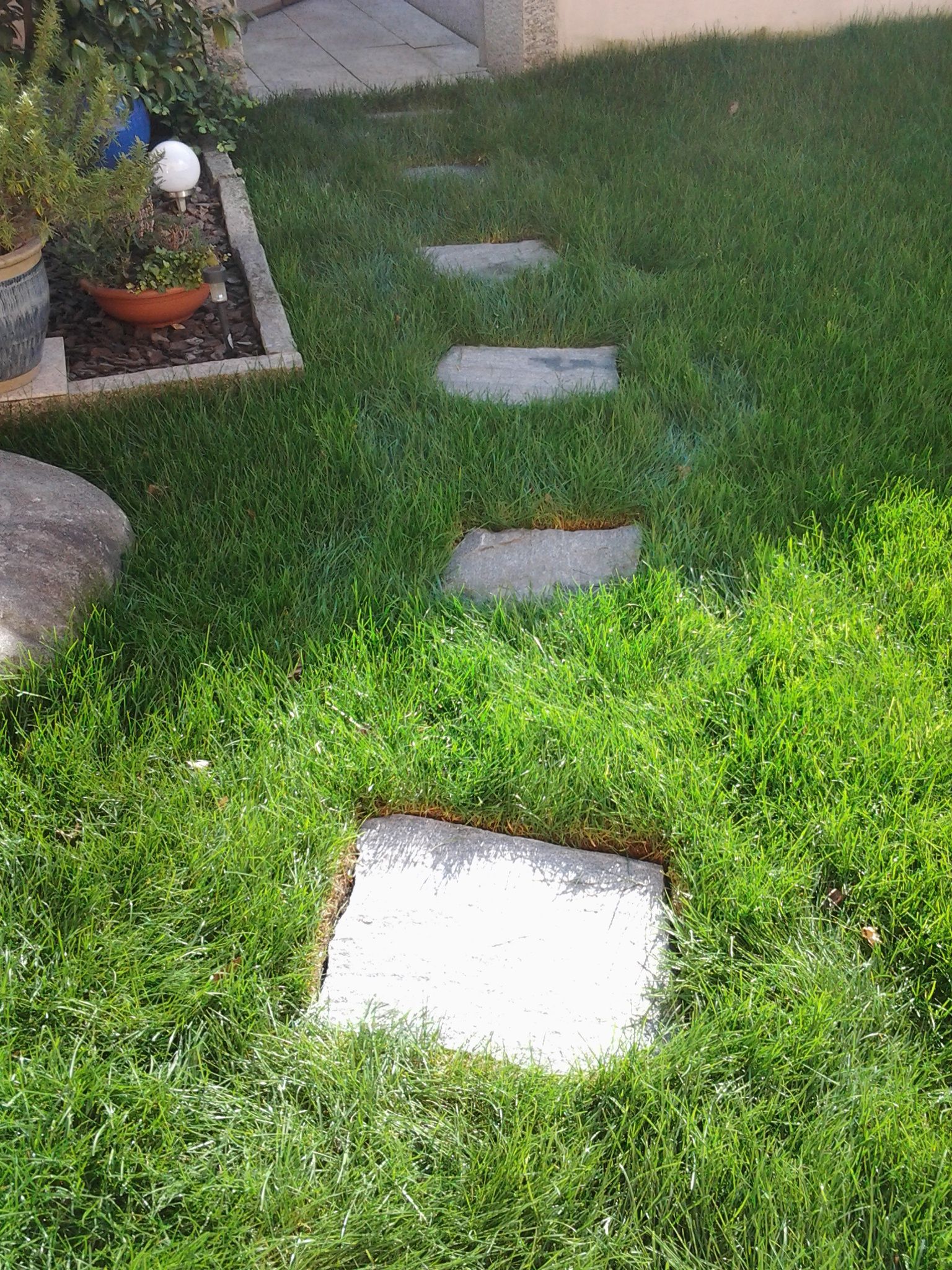 Rope Team SAGL | Caslano