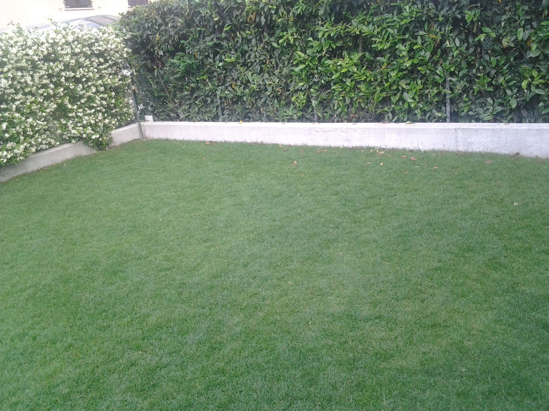 Rope Team SAGL | Caslano