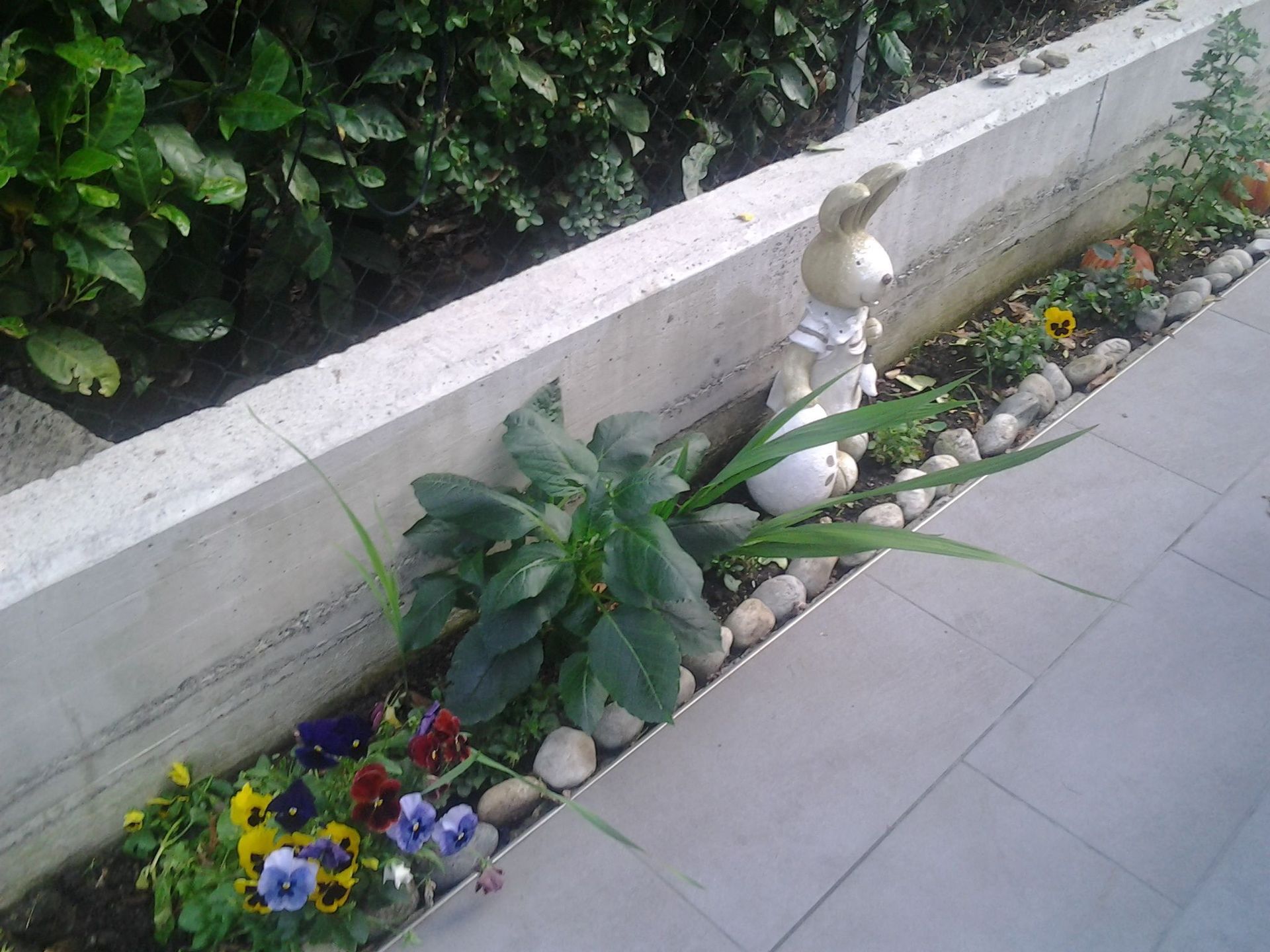 Rope Team SAGL | Caslano