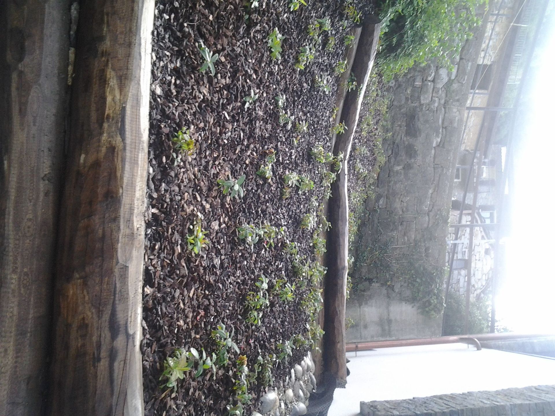 Rope Team SAGL | Caslano