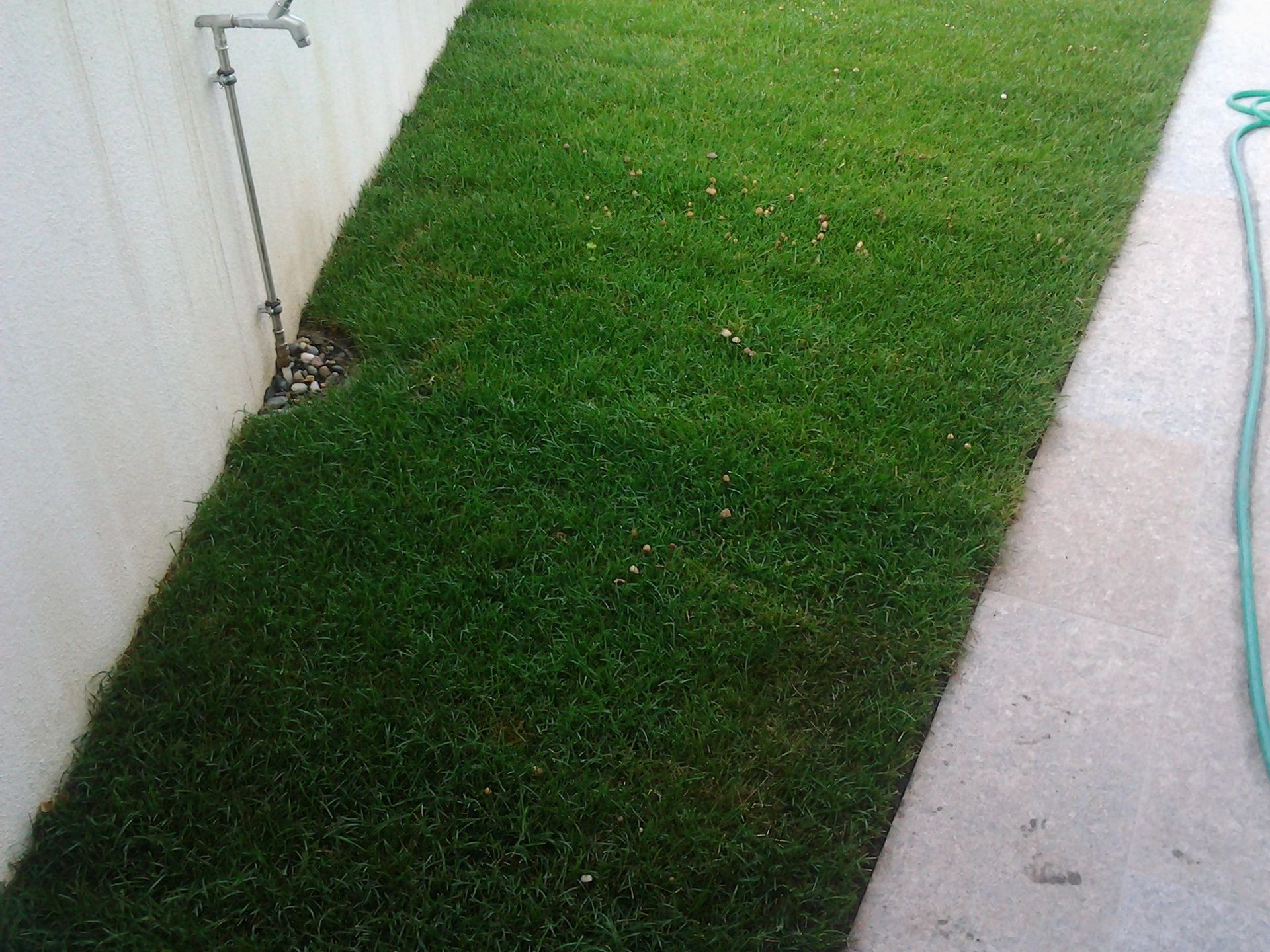 Rope Team SAGL | Caslano