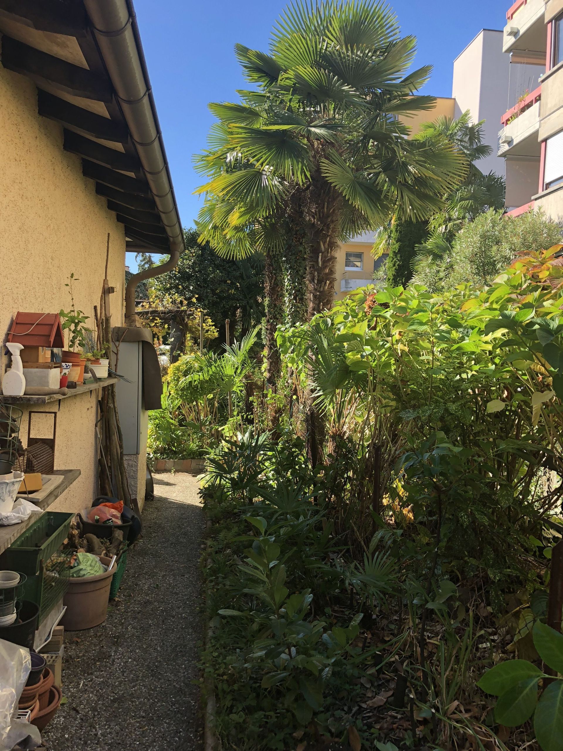 Rope Team SAGL | Caslano