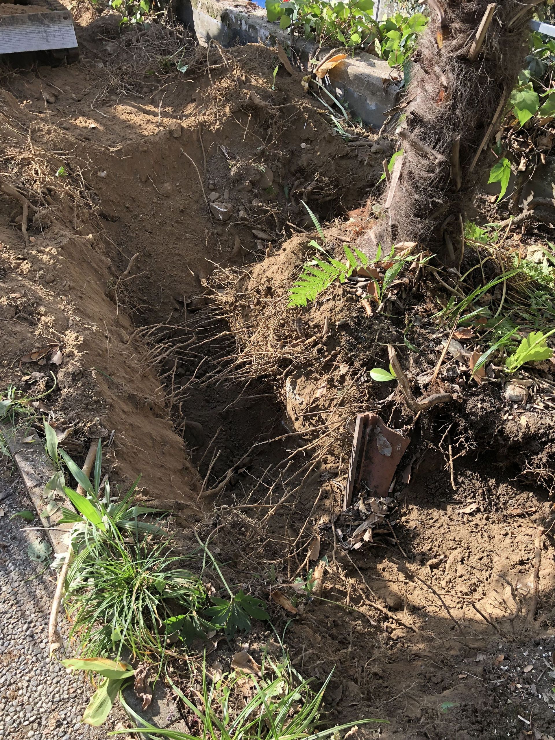 Rope Team SAGL | Caslano