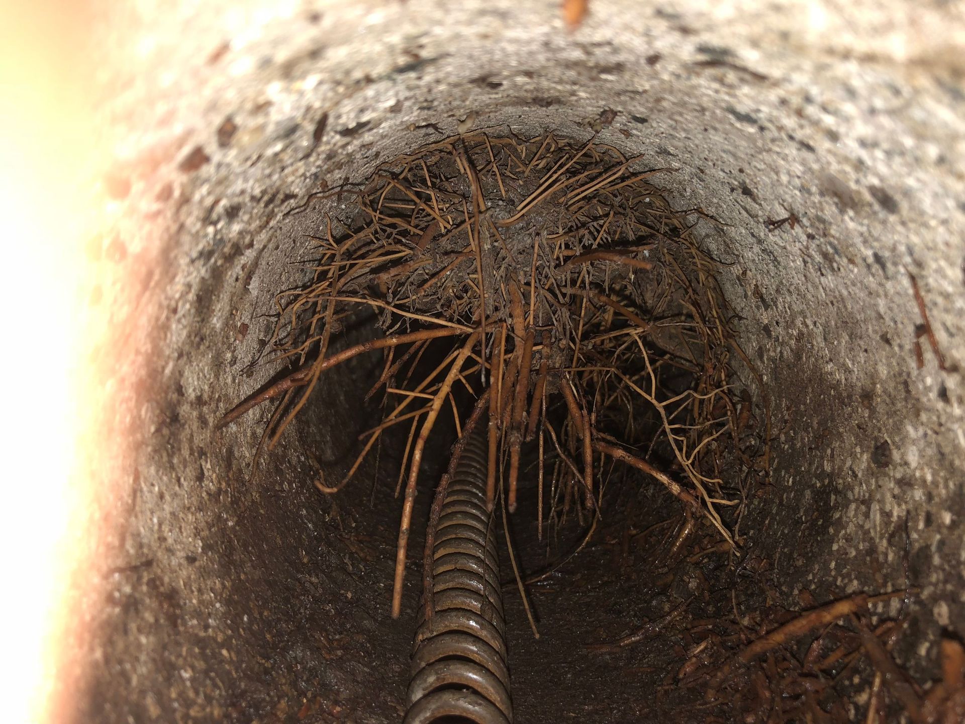 Rope Team SAGL | Caslano