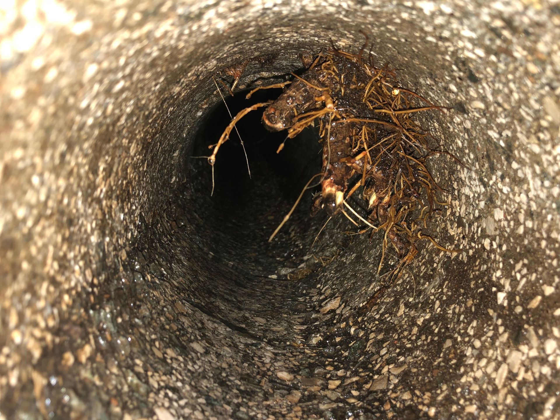 Rope Team SAGL | Caslano