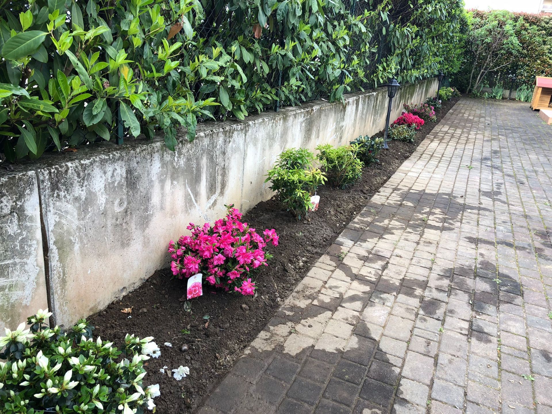 Rope Team SAGL | Caslano