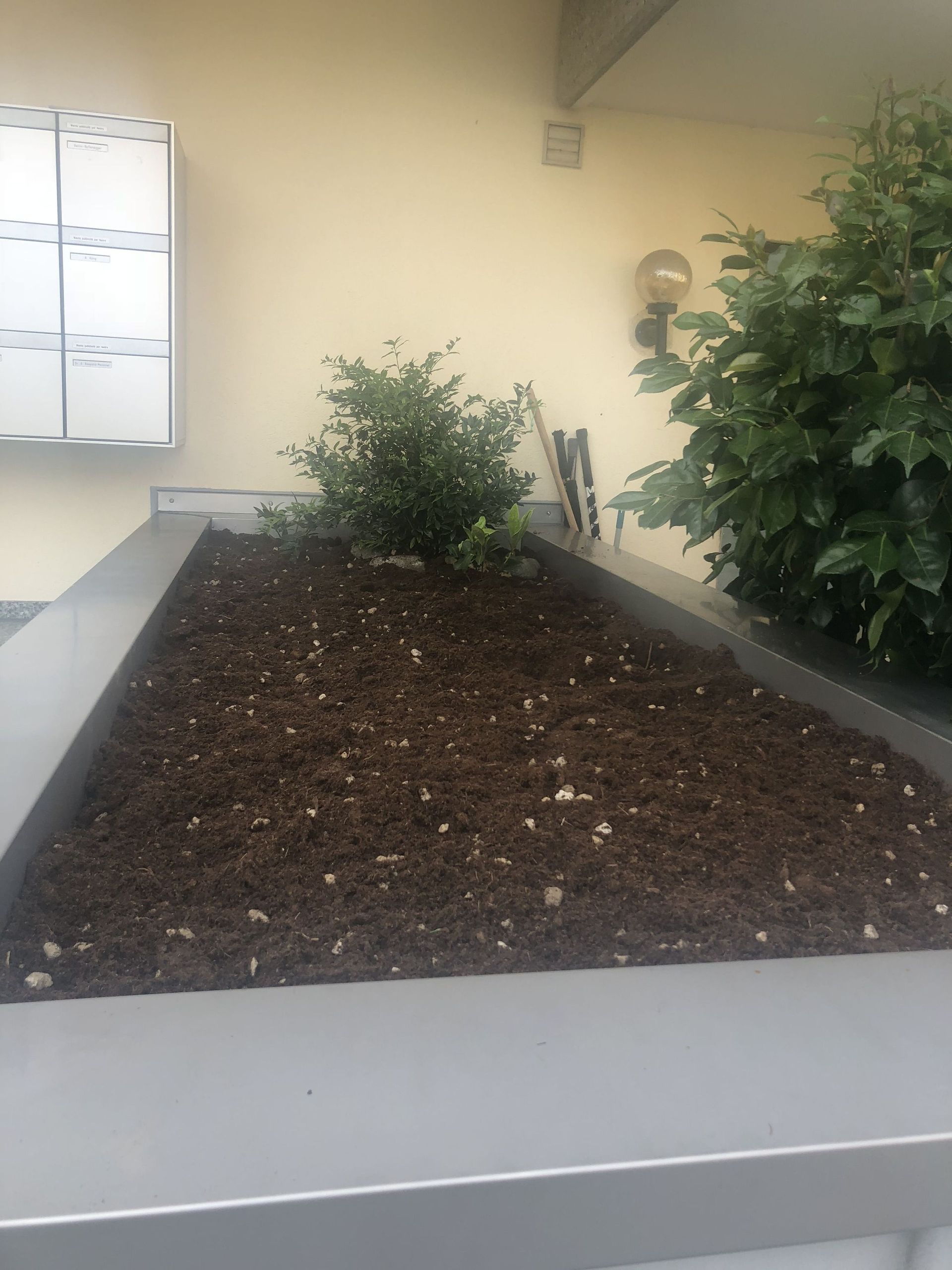 Rope Team SAGL | Caslano