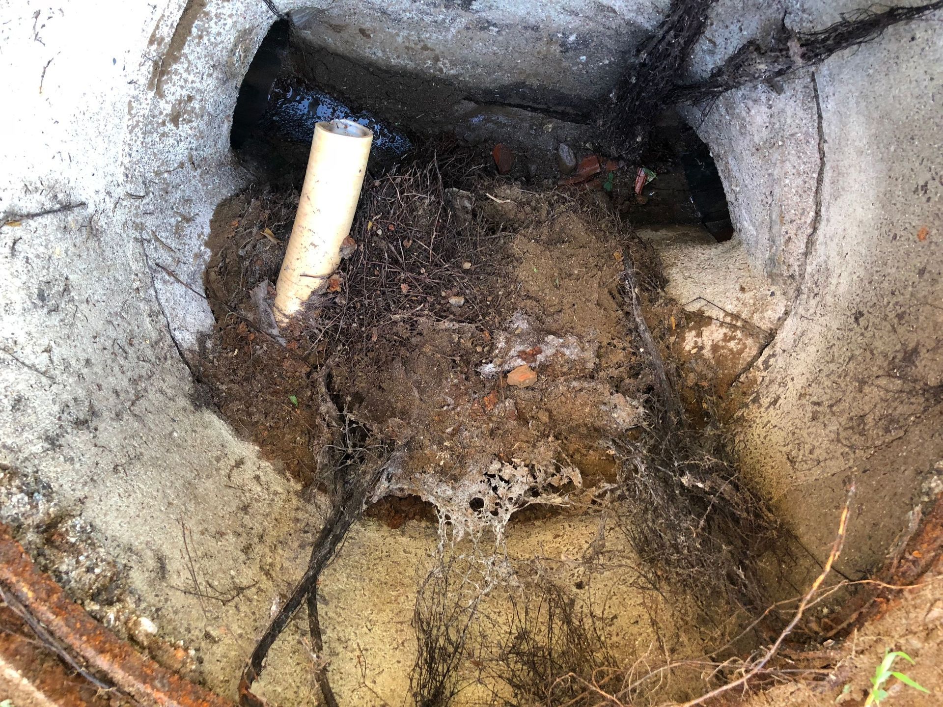 Rope Team SAGL | Caslano