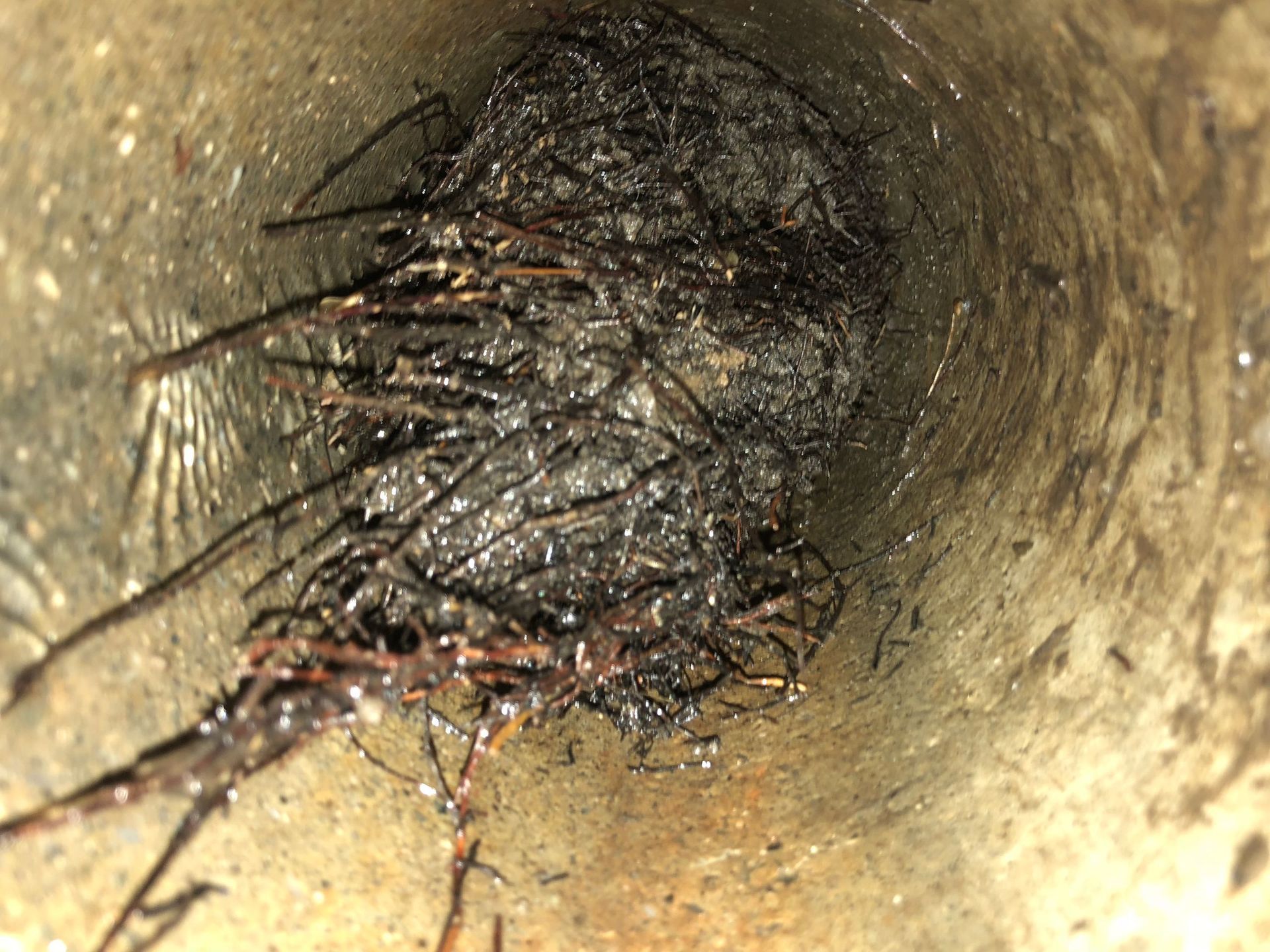 Rope Team SAGL | Caslano