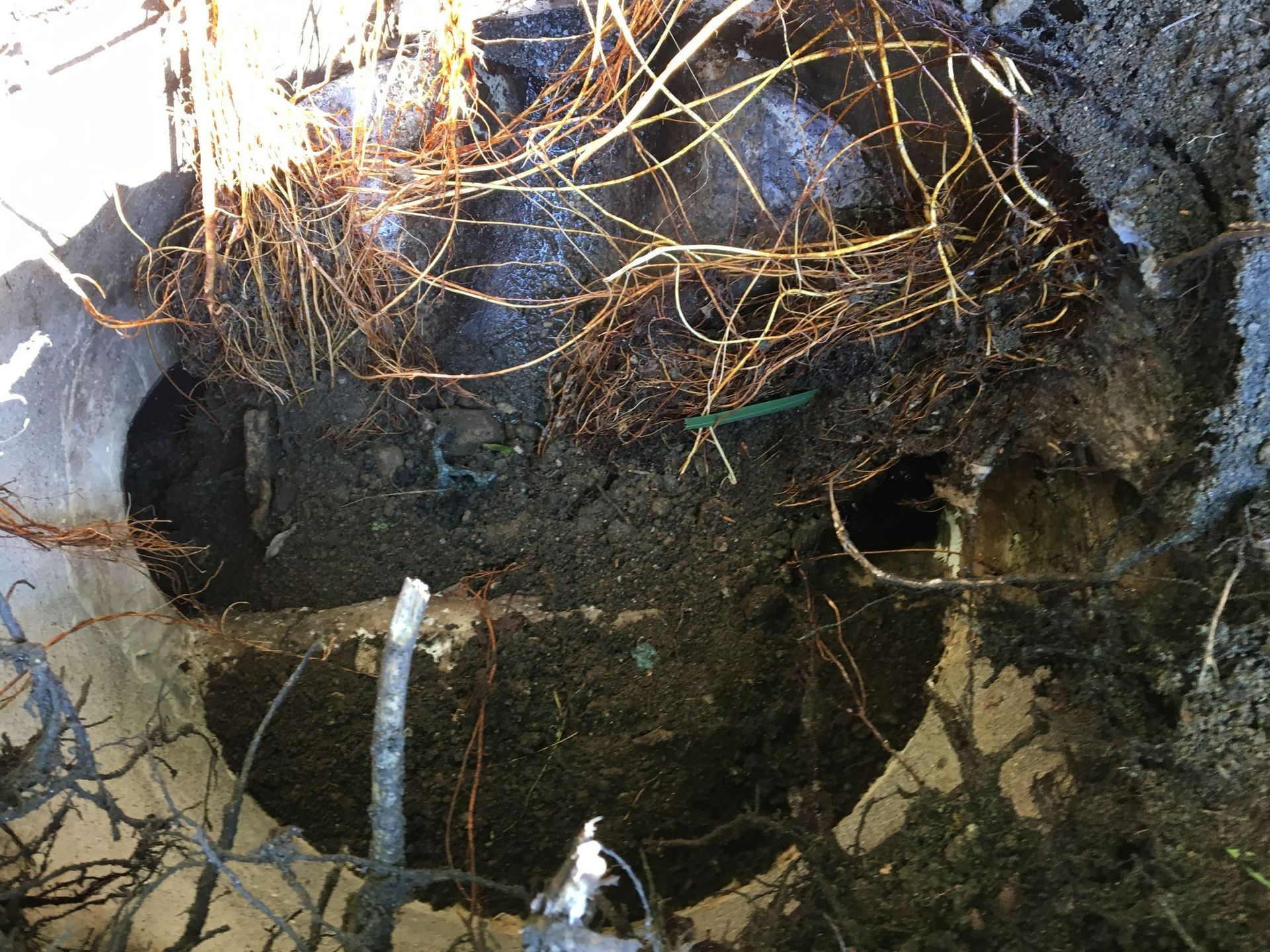 Rope Team SAGL | Caslano