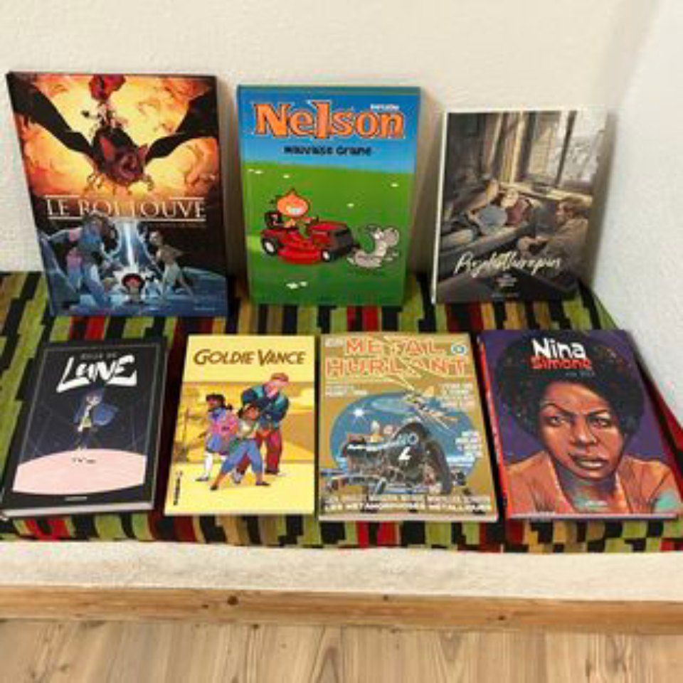 pour fans de bande dessinée