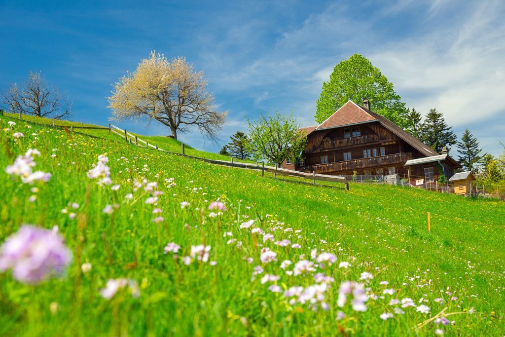 Landschaft - Malergeschäft Hanspeter Haldemann Langnau i. E.