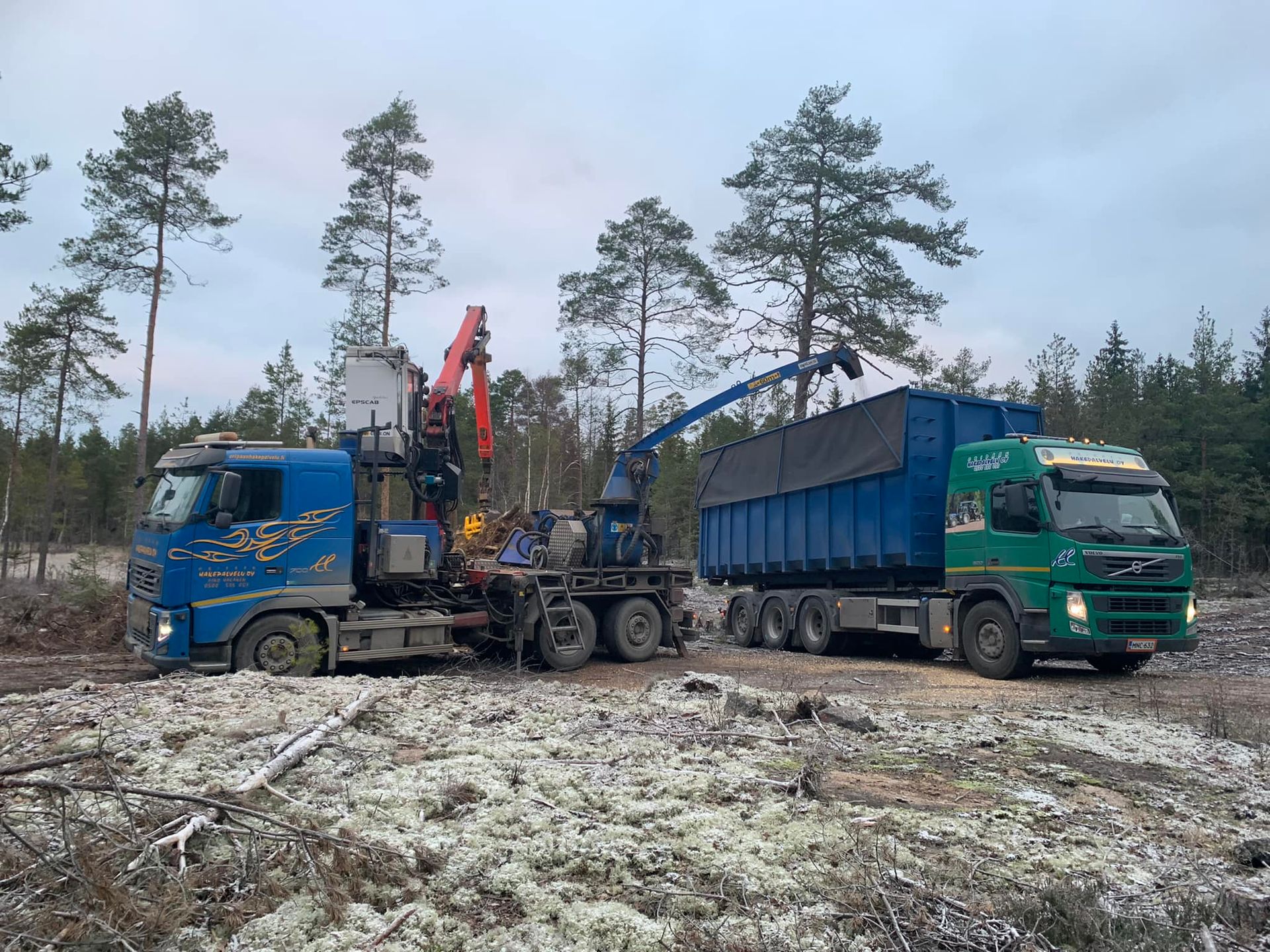Kaksi kuorma-autoa on työkohteessa, puuta kerätään ja lastataan. 