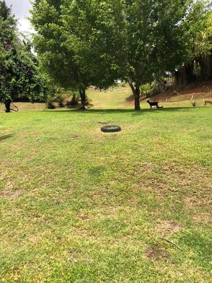 Entretien des espaces verts : tonte