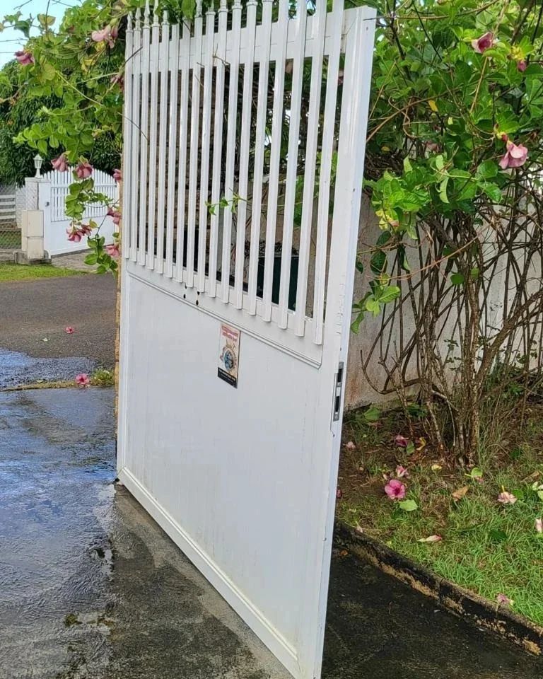 Décapage de portail