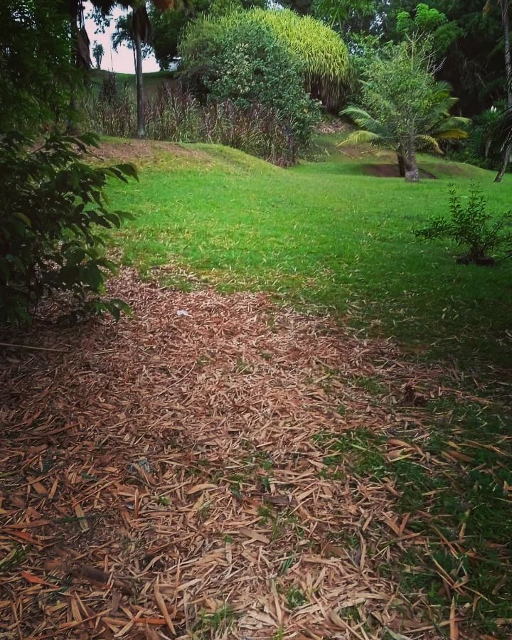 Entretien de parcs et jardins