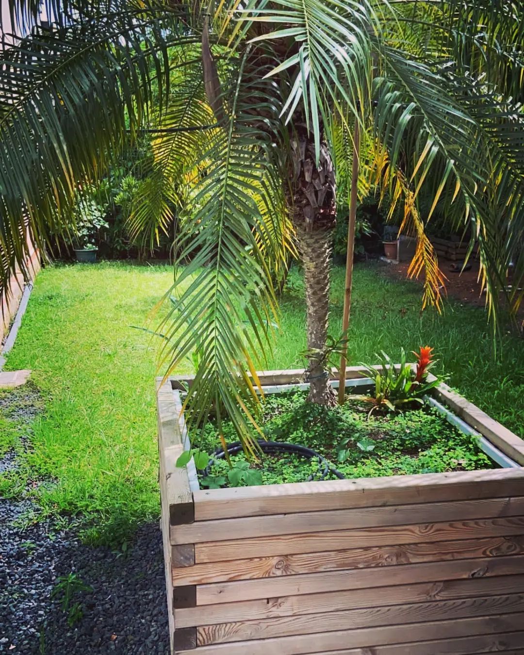 Création de massifs