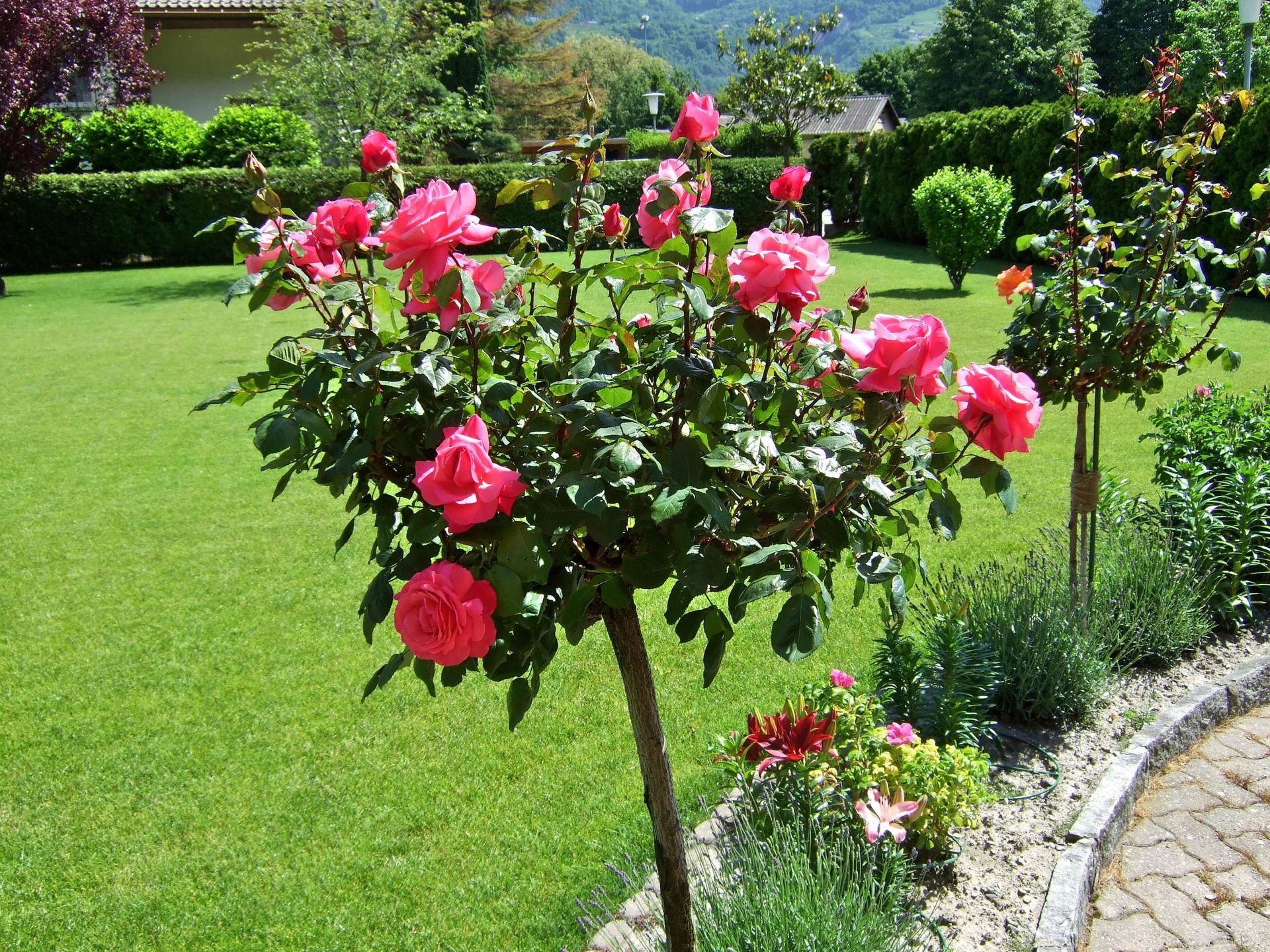 Val Irrigation Sàrl - arrosage jardin