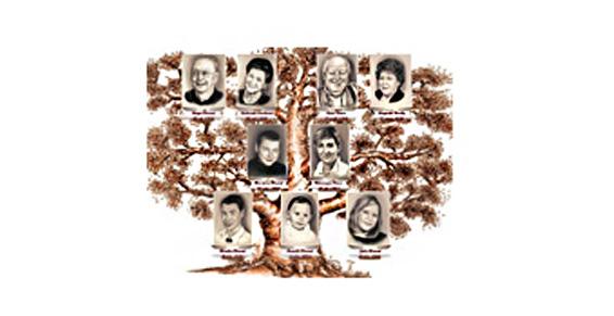 Arbre Généalogique