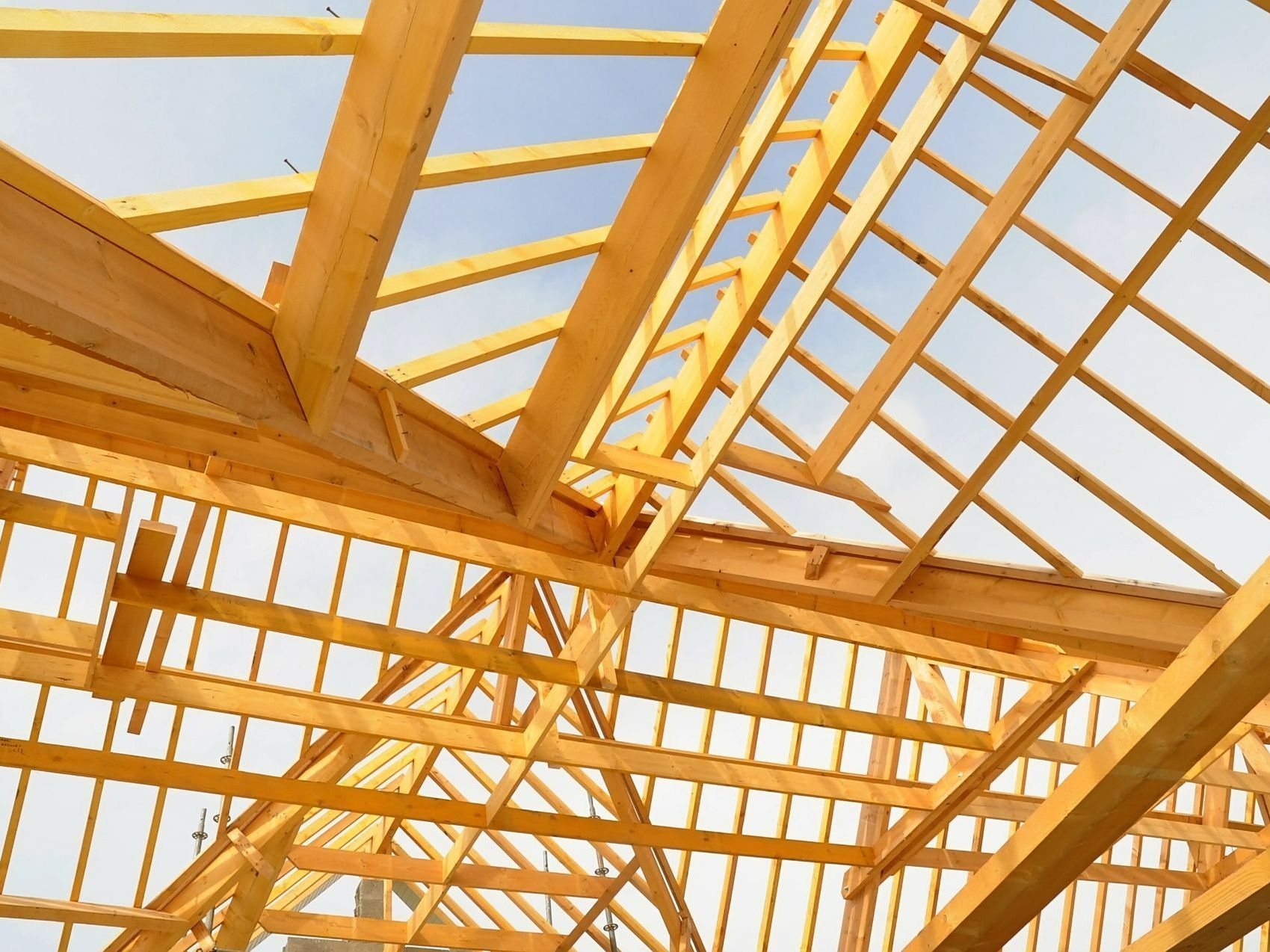 Structure de la charpente