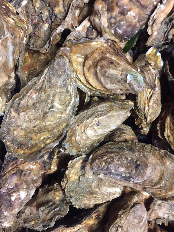 Dégustation d'huîtres