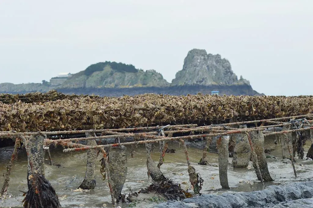 Ostréiculteurs
