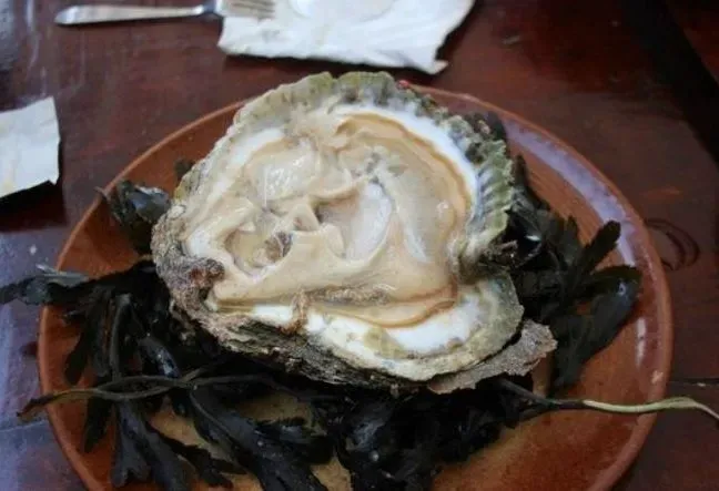 Huîtres Pied d'Cheval