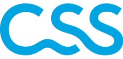 Blaue CSS-Buchstaben in einem stilisierten Logo
