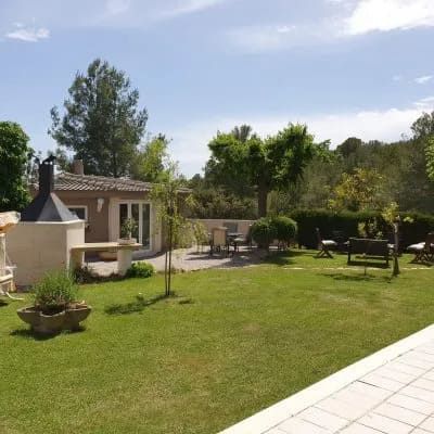 Patio trasero soleado con césped, sillas de patio, una casita y árboles bajo un cielo azul.